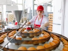 Conveyor belt in a bakery with newly baked buns